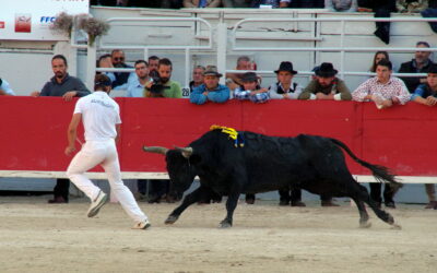 Vincent MARIGNAN : vainqueur du trophée des AS en ARLES en 2021