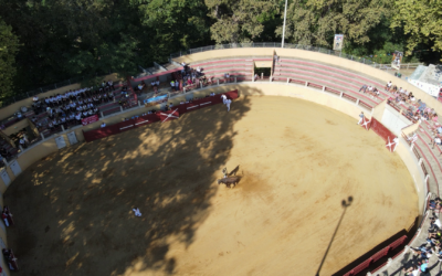 MONTAUT, la course landaise au cœur des fêtes