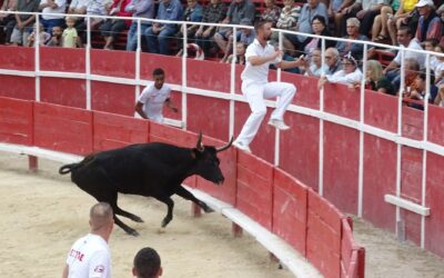 LE TROPHEE DES VACHES COCARDIERES PHILIPPE THIERS REJOINT L’UNION DES CLUBS DE FRANCE